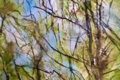 Filigree Branches