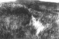 Dark Flaw