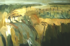 Field