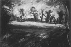 Dancing Trees