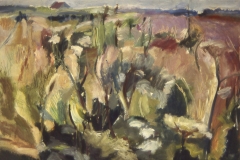 9 Acre Field I