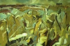 9 Acre Field II