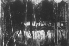 The Island