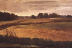 Brown Field With Sheep