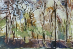 Lakeside II