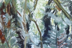 Wivenhoe Woods 2