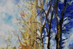 Yellow and Blue Trees