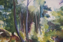 Wivenhoe Woods