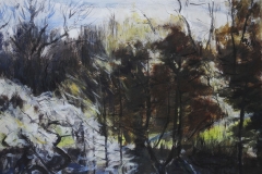Waterlow Park Winter