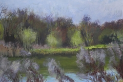 Gravel Pit Lake, Willows