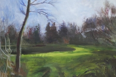 Gravel Pit Lake with Tree