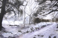 Snowy Path