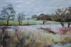 Flooded Fields