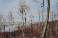 Spring Trees 2