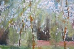 Spring Trees