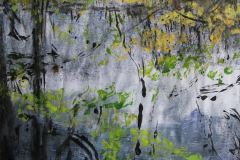 Pond with Reflection