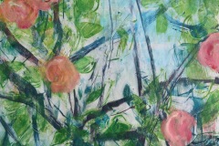 Rosebush 1